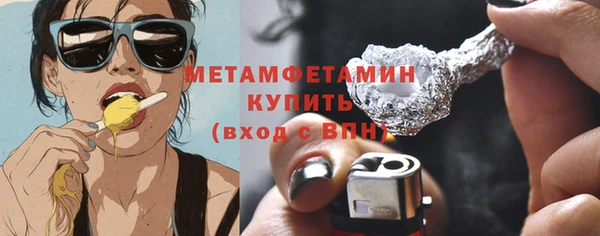 шишки Белокуриха