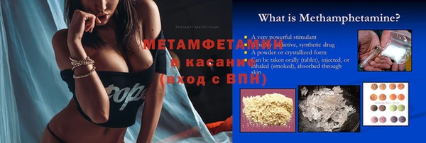 шишки Белокуриха