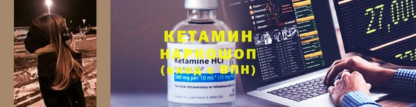 шишки Белокуриха