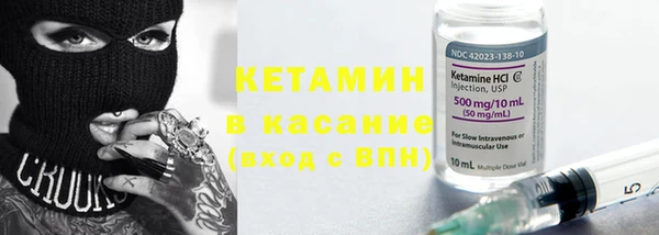 шишки Белокуриха