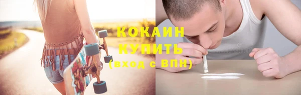 шишки Белокуриха