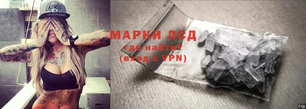 шишки Белокуриха