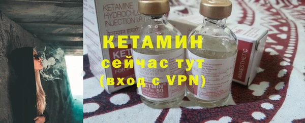 шишки Белокуриха
