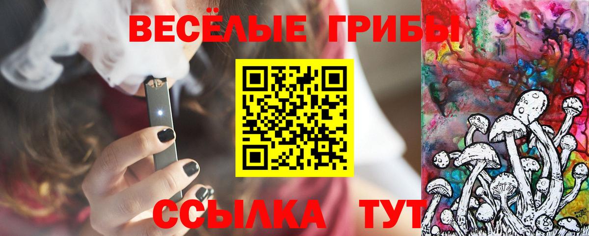Псилоцибиновые грибы GOLDEN TEACHER  Галлюциногенные грибы мухоморы  Вход с VPN  что такое   Дальнегорск 