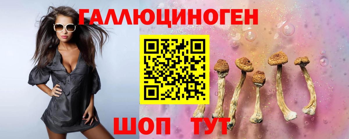 Псилоцибиновые грибы мицелий Дальнегорск