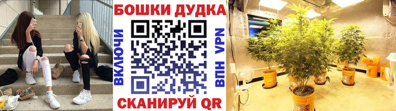 Каннабис MAZAR Дальнегорск